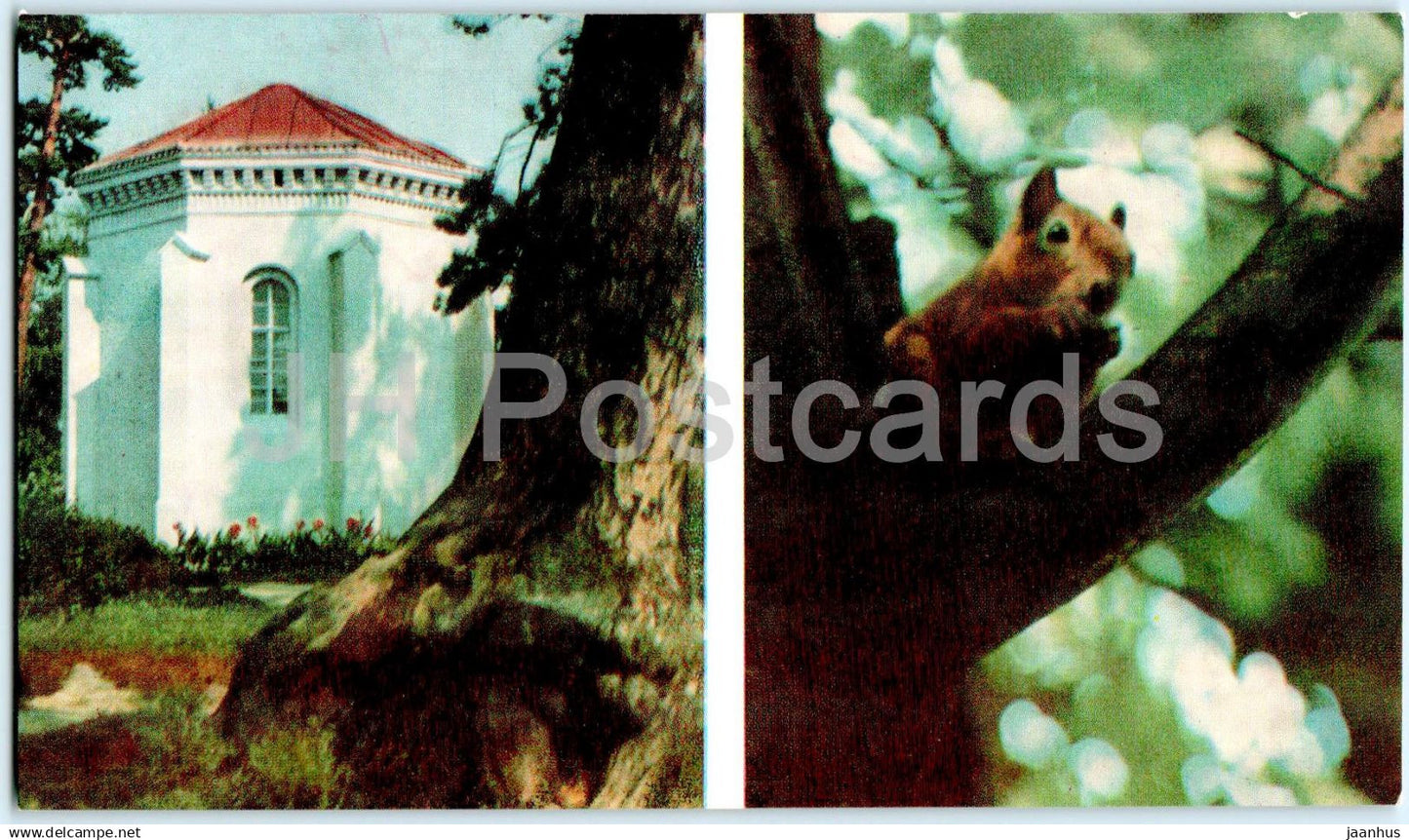 Palanga - on Birute hill - squirrel - animals - 1969 - Lithuania USSR - unused - JH Postcards
