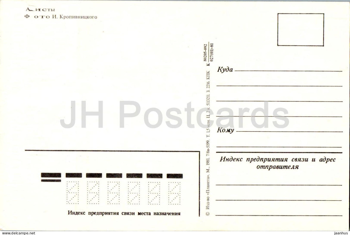 White Stork - Ciconia ciconia - birds - 1981 - Russia USSR - unused