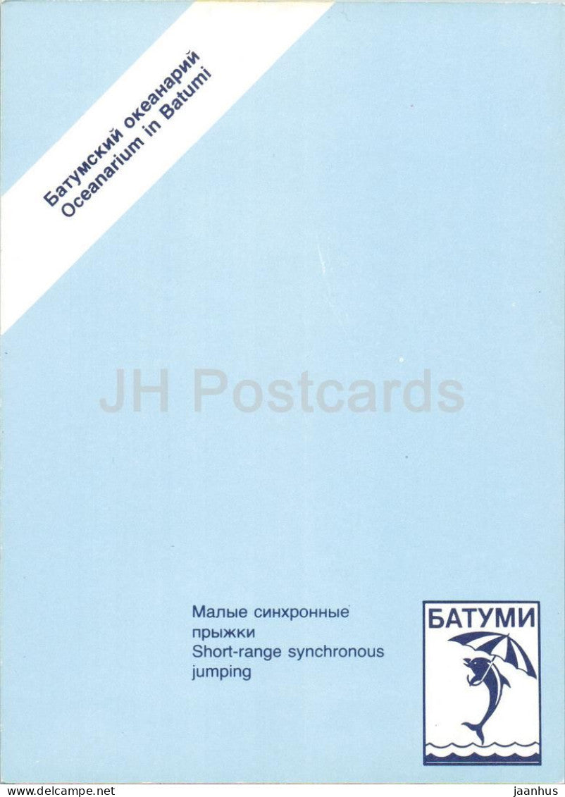 Oceanarium in Batumi - dolphin show - short range synchronous jumping - animals - Georgia - unused