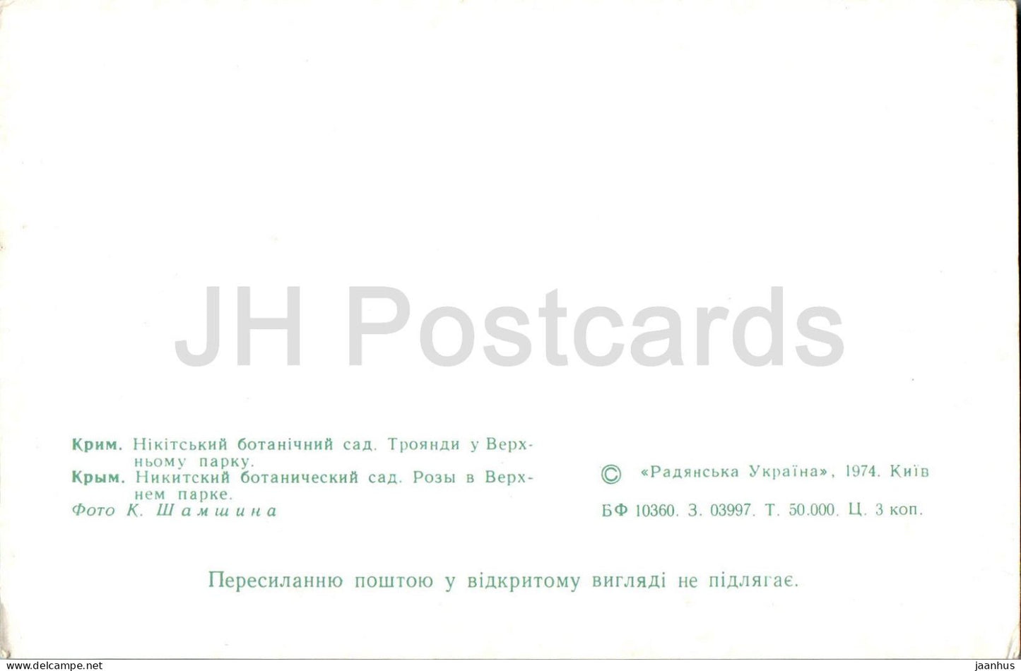 Nikitsky Botanical Garden - Roses in the Upper park - Crimea - 1974 - Ukraine USSR - unused