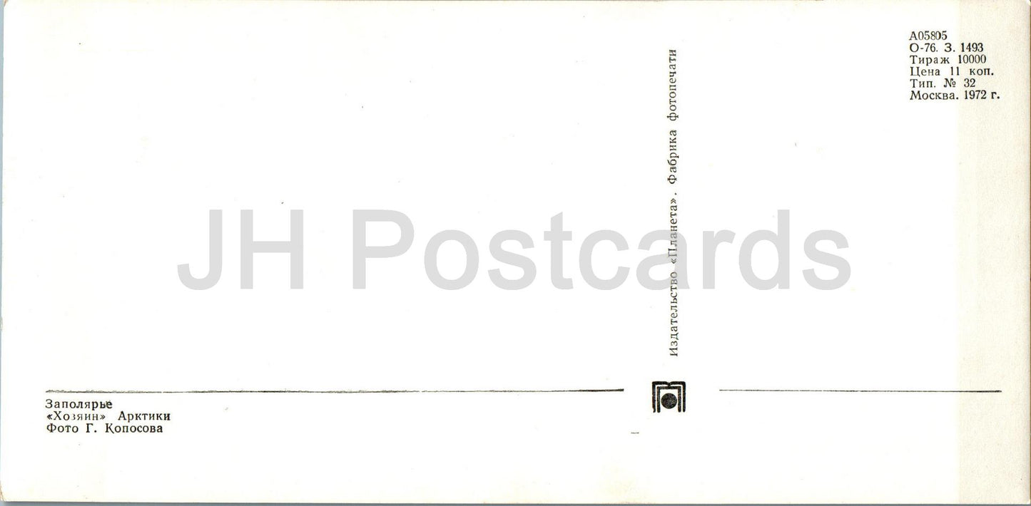 Polar Region - master of the arctic - polar bear - animals - 1972 - Russia USSR - unused