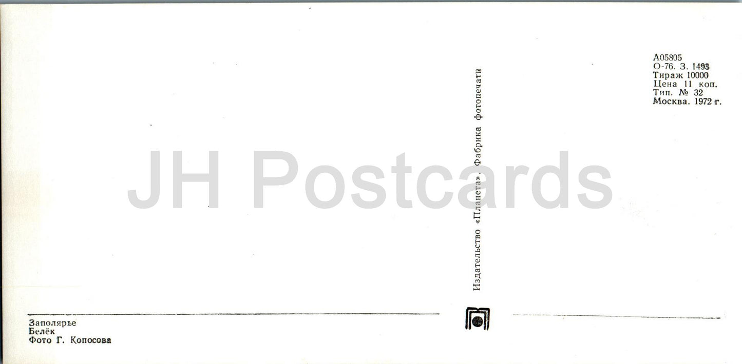 Polar Region - newborn seal - animals - 1972 - Russia USSR - unused