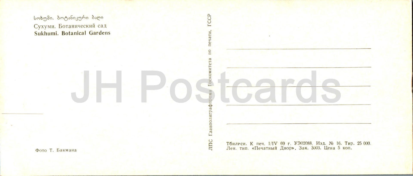 Soukhoumi - Jardins botaniques - Abkhazie - 1969 - Géorgie URSS - inutilisé