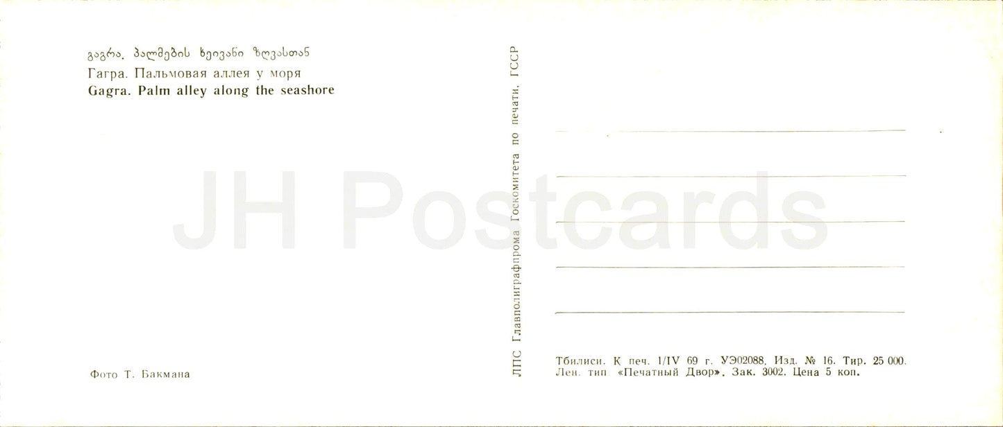 Gagra - Allée de palmiers au bord de la mer - Abkhazie - 1969 - Géorgie URSS - inutilisé