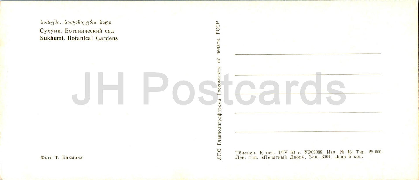 Sukhumi - Botanical Gardens - pond - Abkhazia - 1969 - Georgia USSR - unused