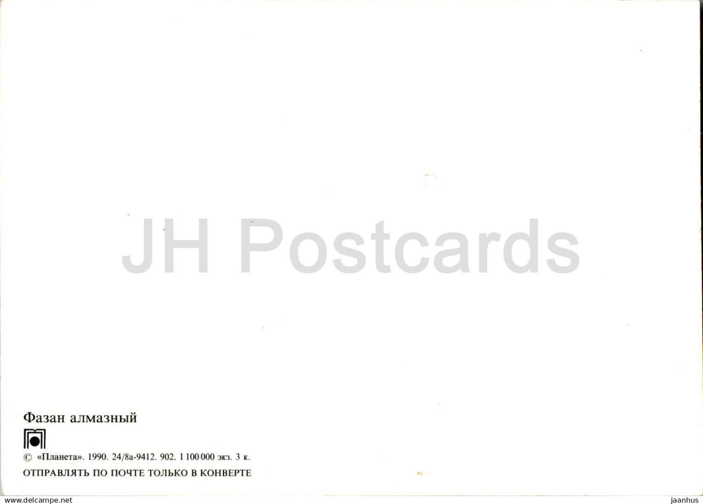 Lady Amherst's pheasant - Chrysolophus amherstiae - birds - 1- 1990 - Russia USSR - unused