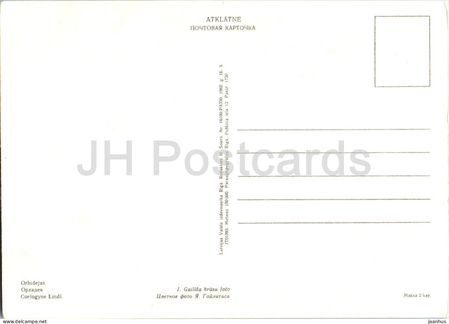 Coelogyne - Orchidée - fleurs - 1962 - Lettonie URSS - non utilisée