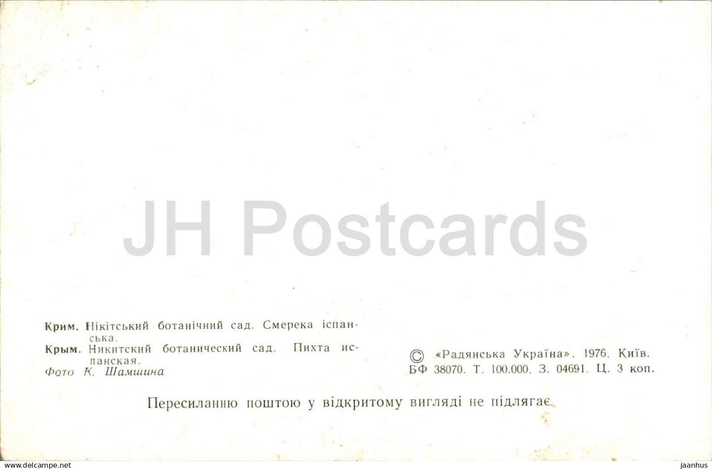 Jardin botanique Nikitsky - Sapin d'Espagne - Abies pinsapo - 1976 - Ukraine URSS - non utilisé