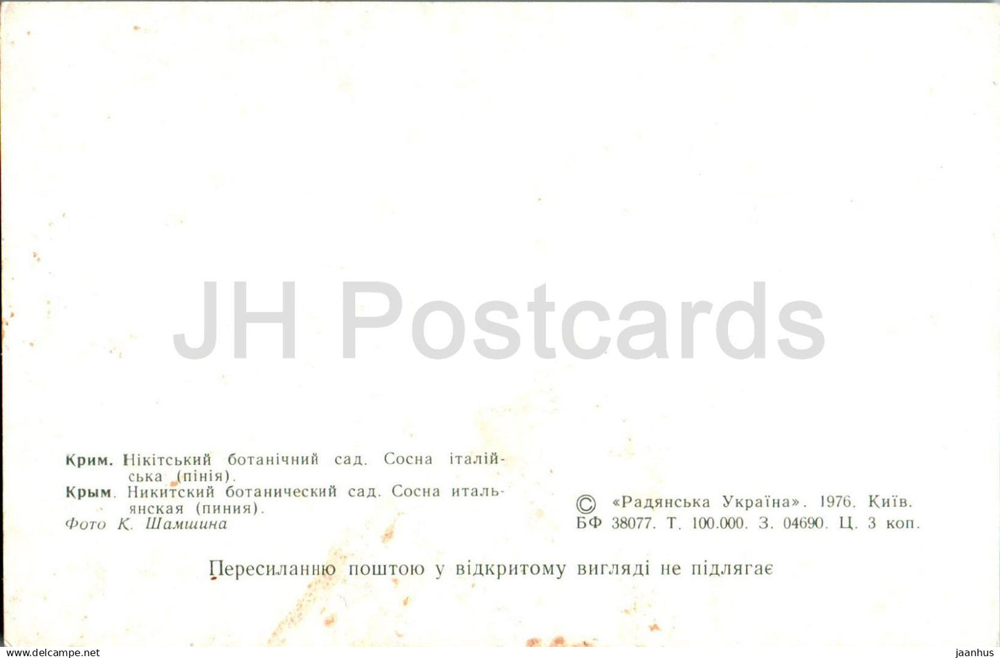 Nikitsky Botanical Garden - Italian Pine- 1976 - Ukraine USSR - unused