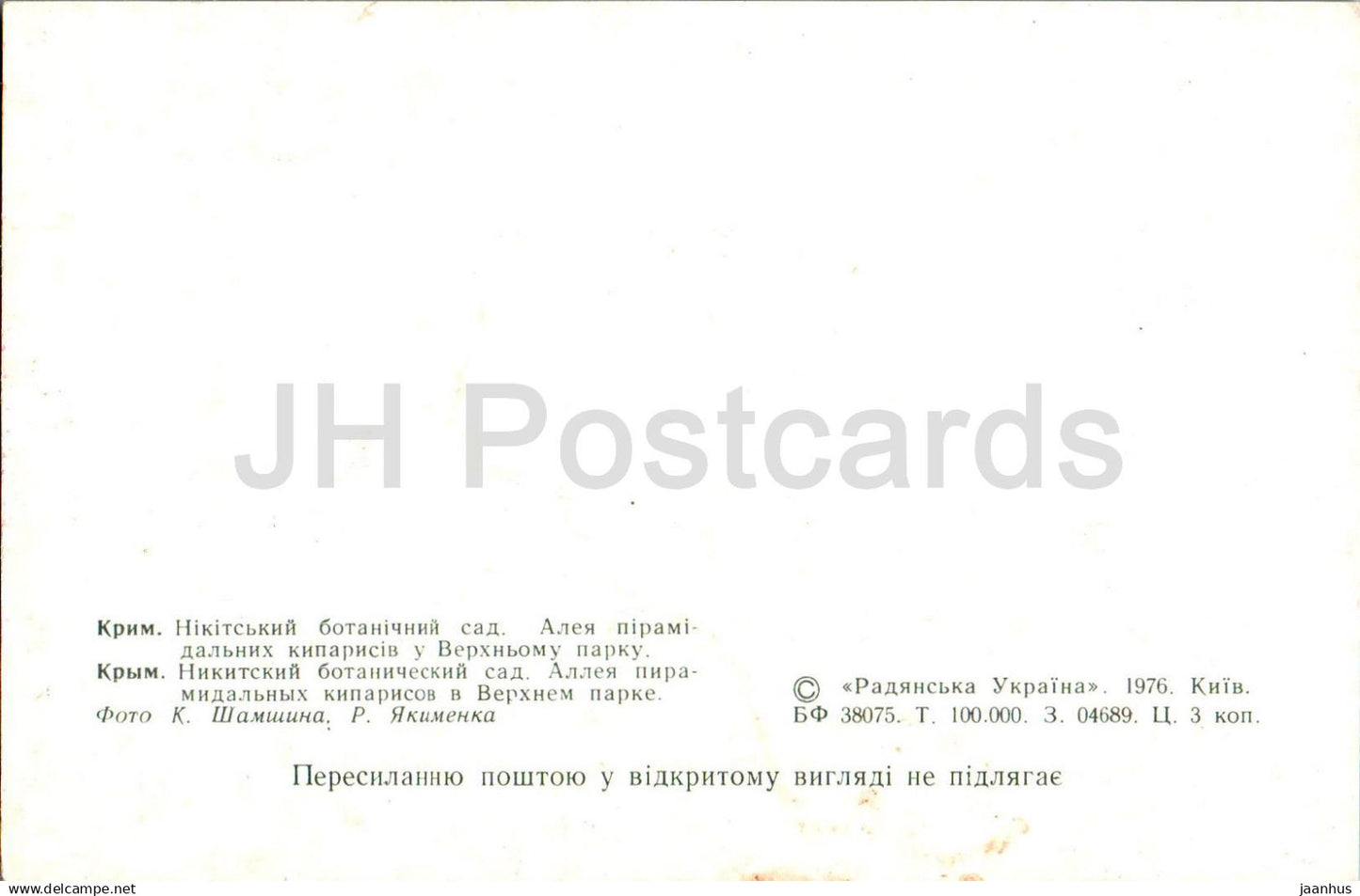 Nikitsky Botanischer Garten - Allee der Pyramidenzypressen im Oberen Park - 1976 - Ukraine UdSSR - unbenutzt