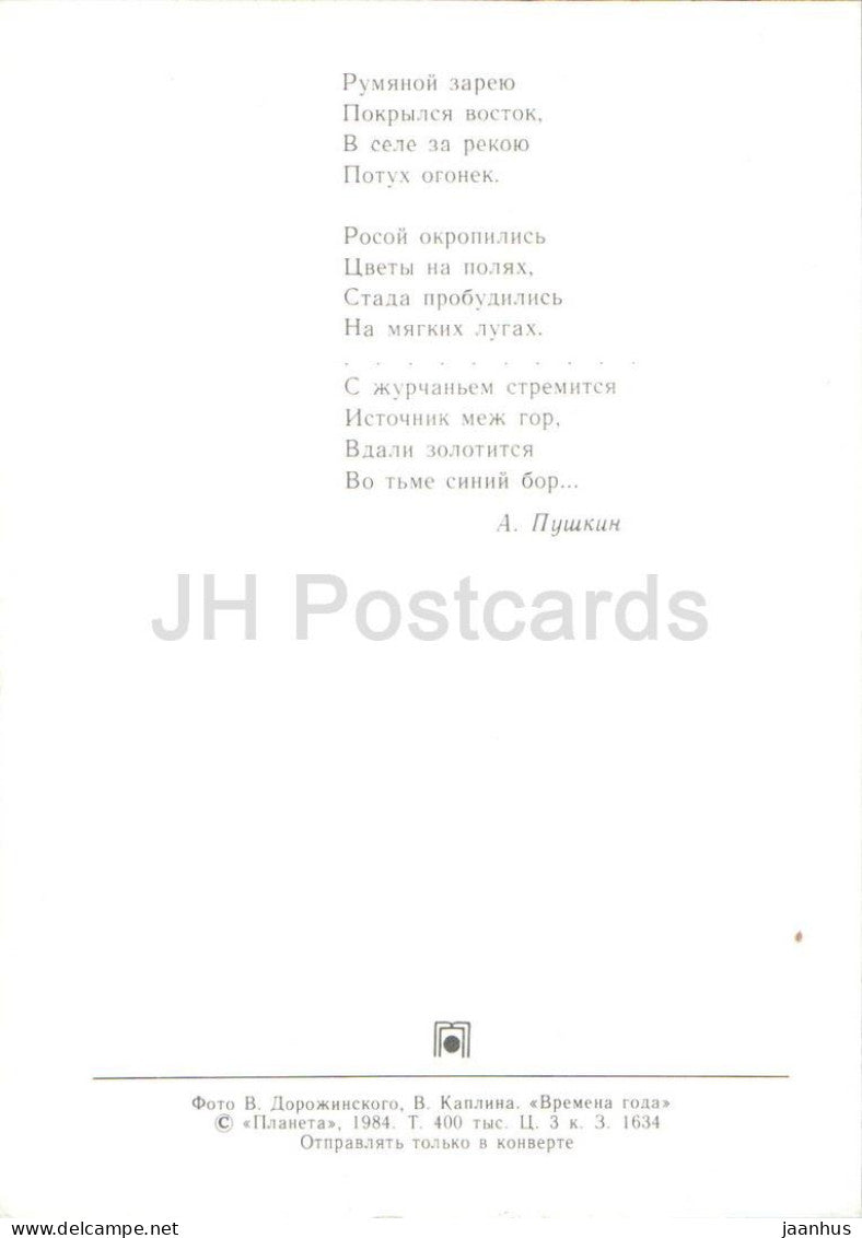 Jahreszeiten – Sommer – Wiese – Herde – Erdbeeren – Gänseblümchen – Heuhaufen – 1984 – Russland (UdSSR) – ungenutzt