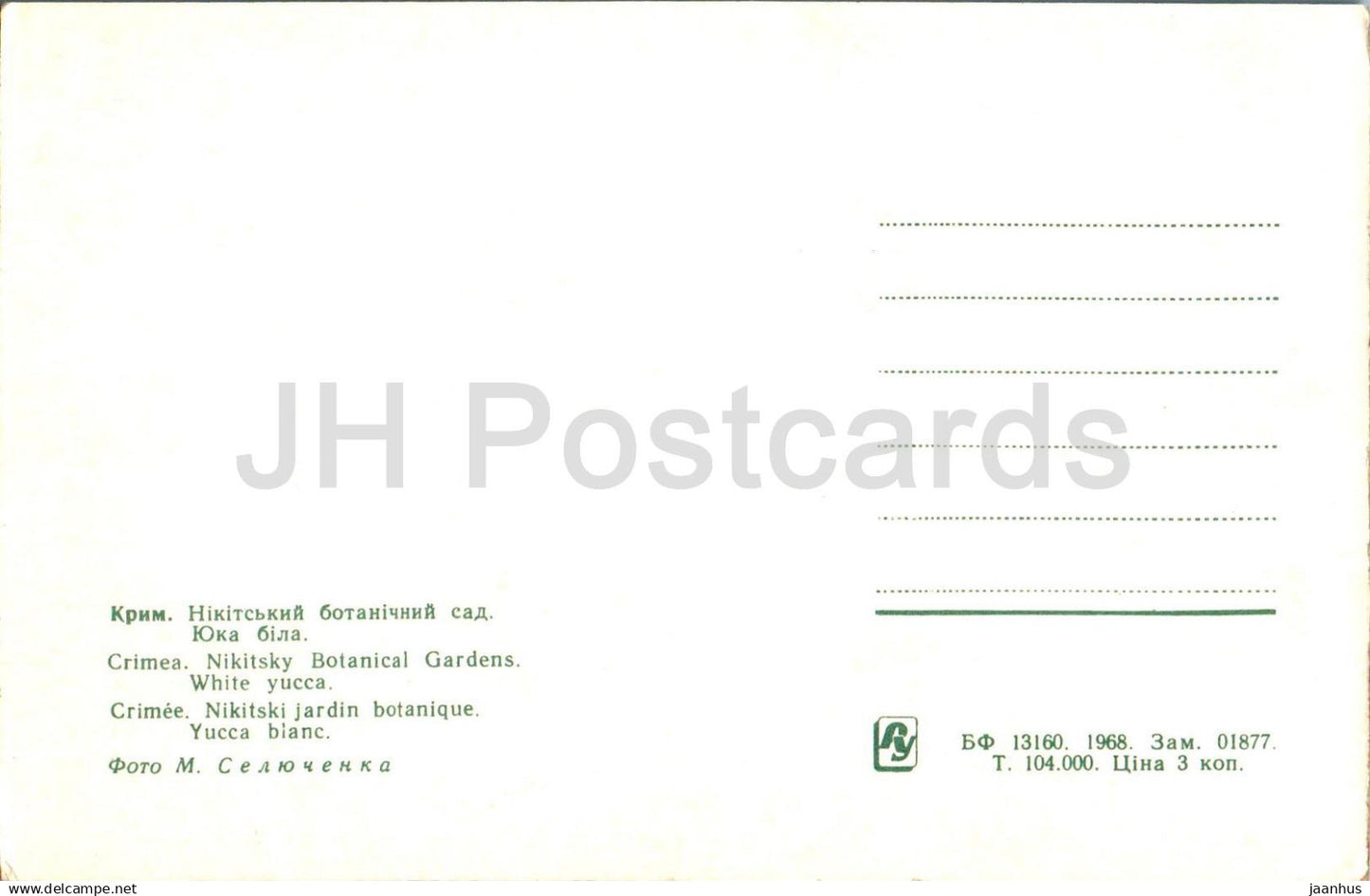 Nikitsky Botanical Garden - White Yucca - Crimea - 1968 - Ukraine USSR - unused