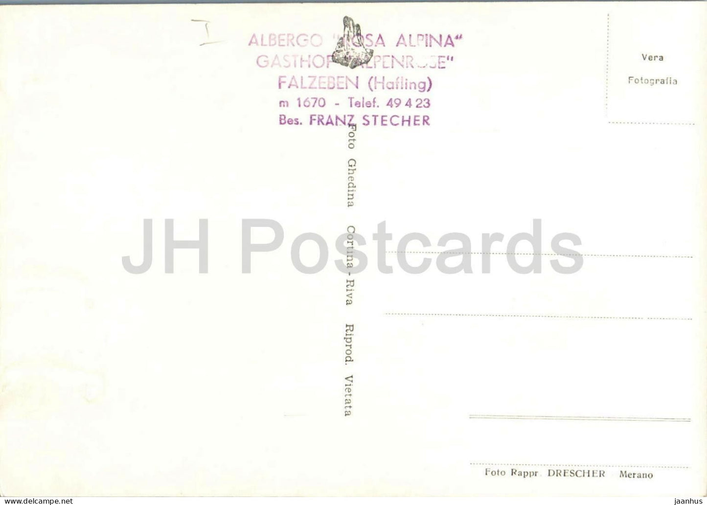 Avelengo - Albergo Rosa Alpina m. 1670 - Hafling - Gasthof - Alpenrose - horse - mountains old postcard - Italy - unused