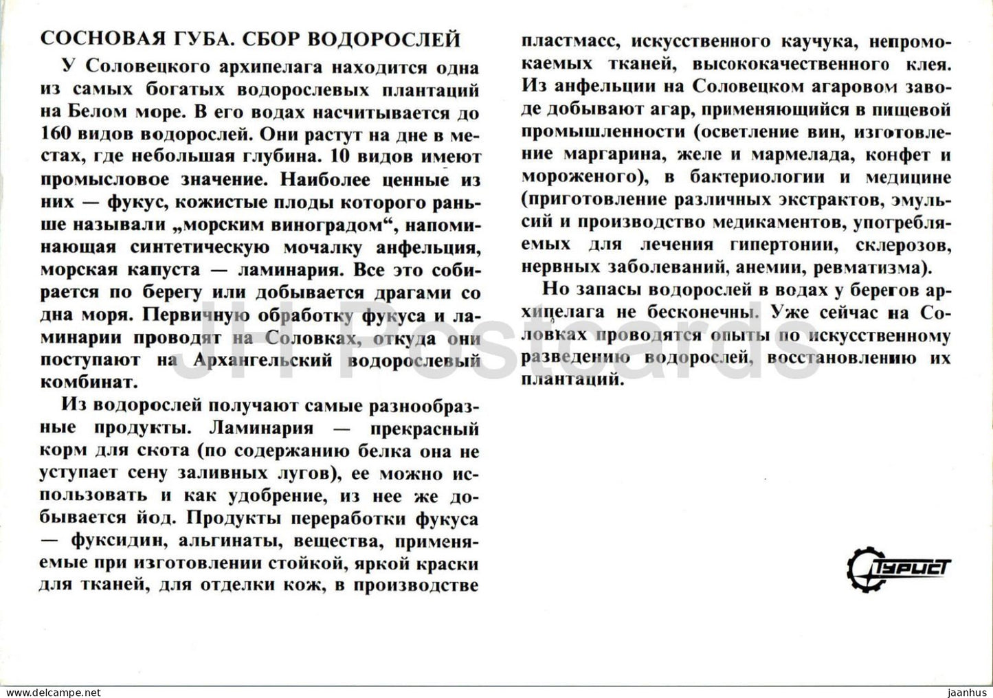 Îles Solovetsky - Baie de Sosnovaya - collecte d'algues - bateau - Touriste - Russie - inutilisé