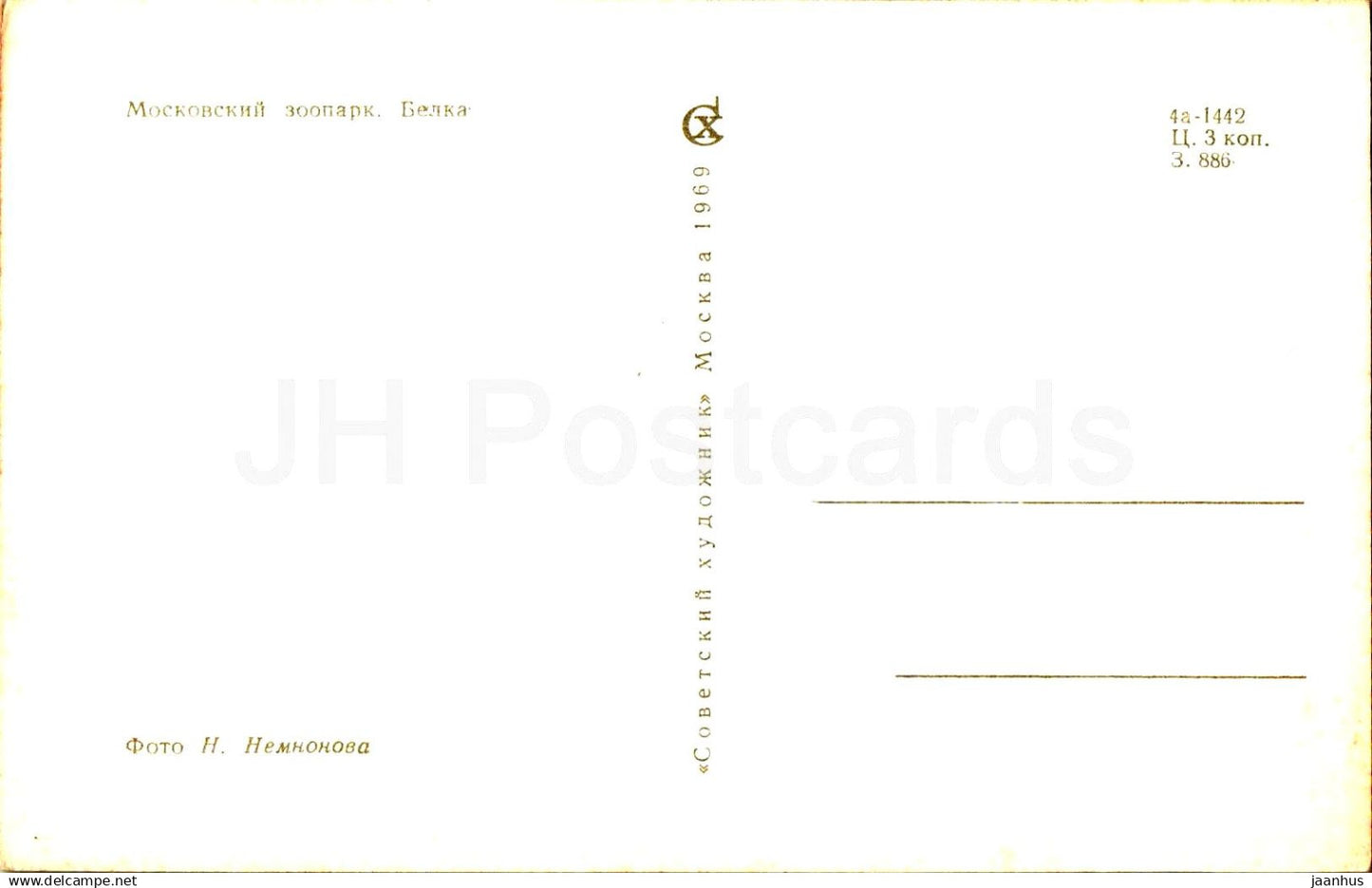 Eastern gray squirrel - Moscow Zoo - 1969 - Russia USSR - unused