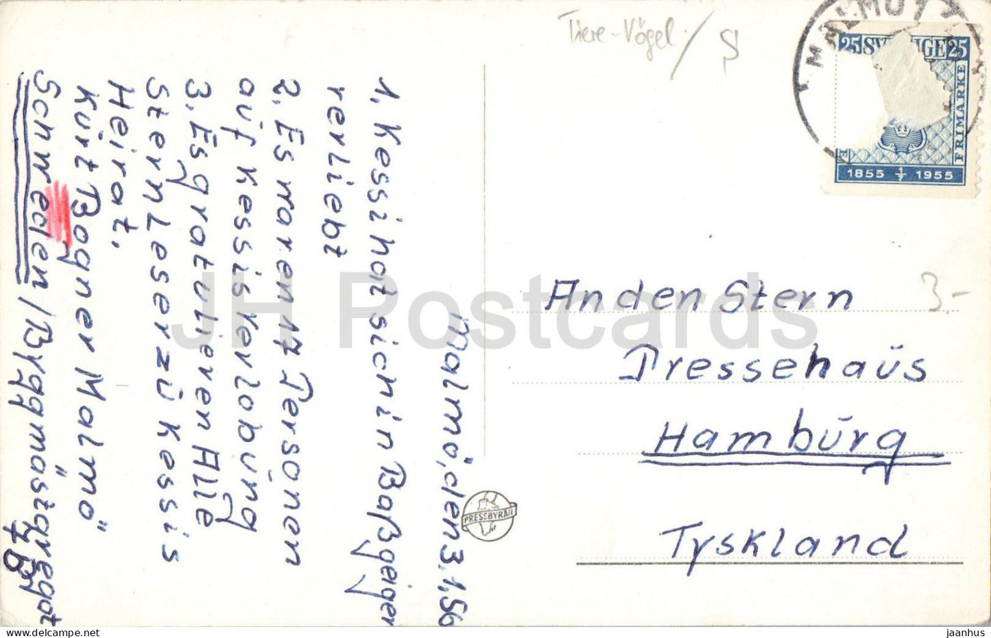 Malmo - Pildammarna - Pildammsparken - lake swans park birds - 38836 - old postcard - 1956 - Sweden - used