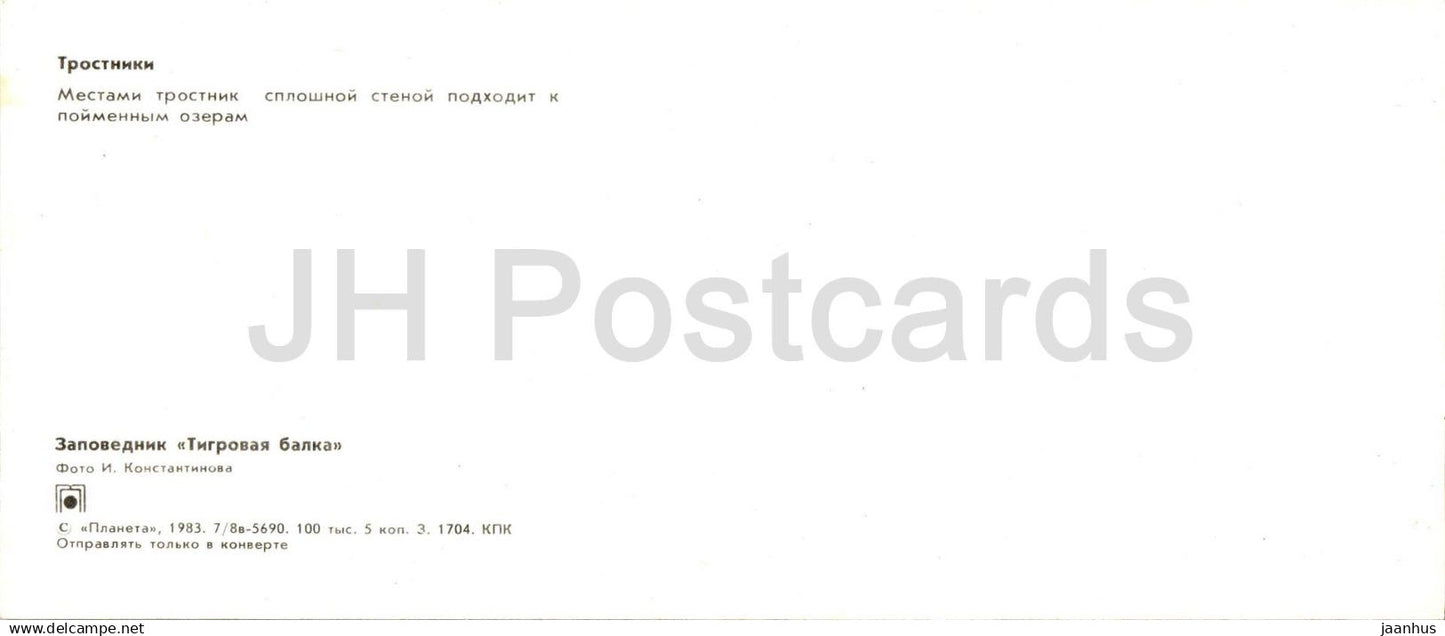 Tigrovaya Balka Nature Reserve - Reeds - 1983 - Tajikistan USSR - unused