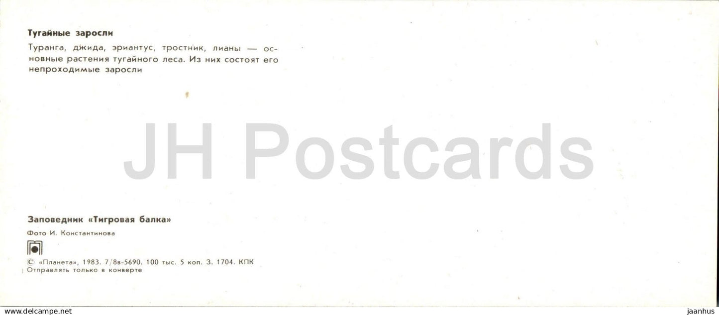 Tigrovaya Balka Nature Reserve - Riparian Thickets - 1983 - Tajikistan USSR - unused