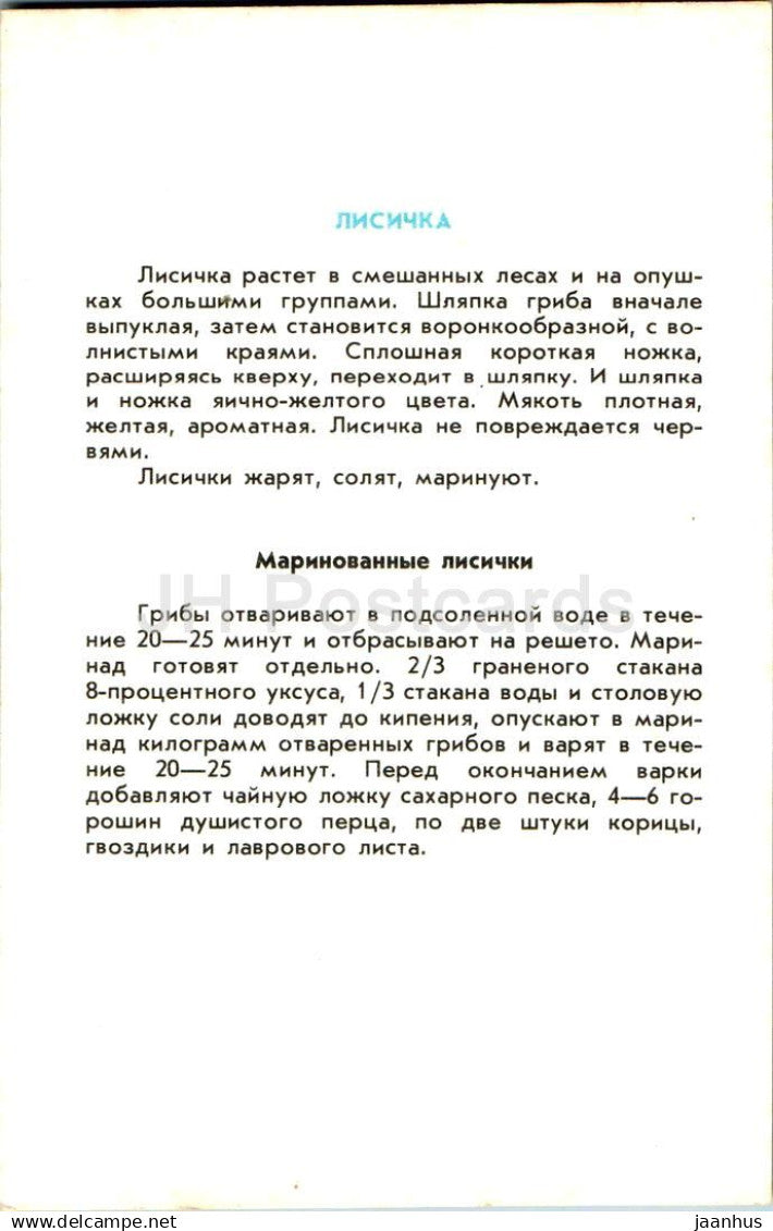 Chanterelle dorée - Cantharellus cibarius - champignons - 1991 - Russie URSS - non utilisé