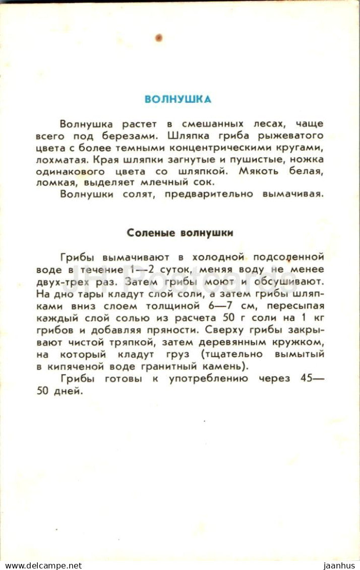 Lactaire laineux - Lactarius torminosus - champignons - 1991 - Russie URSS - non utilisé