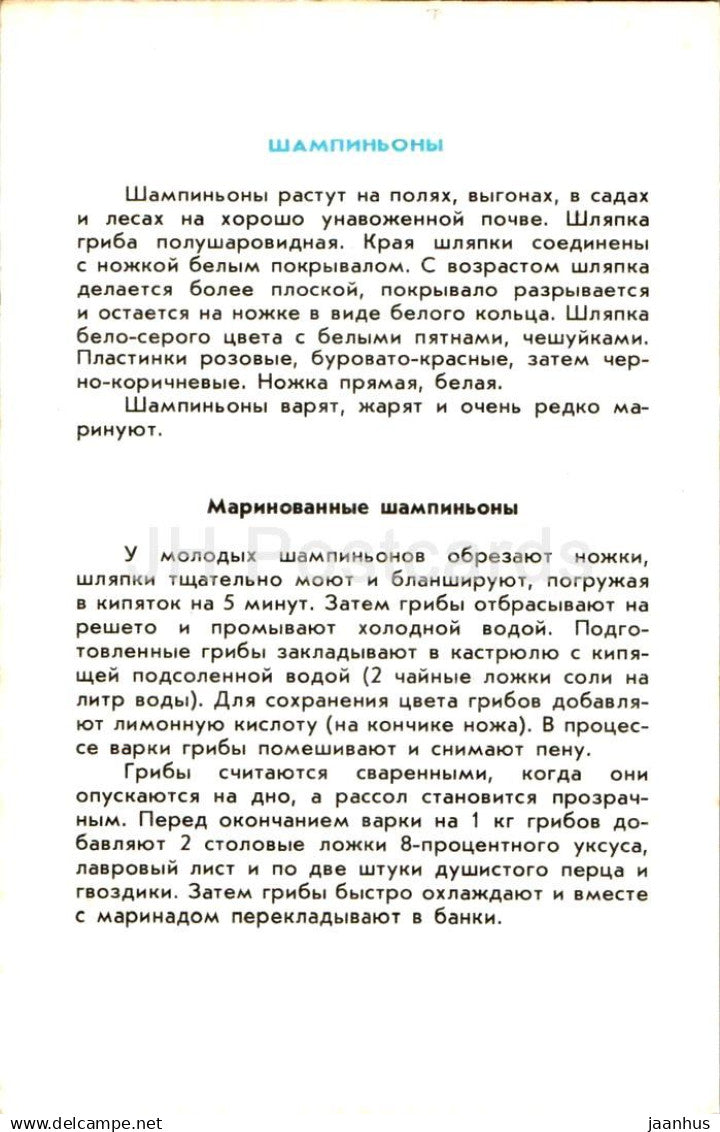 Agaricus - champignons - 1991 - Russie URSS - non utilisé