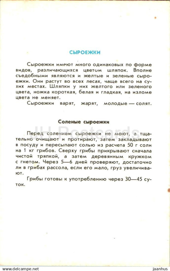 Russula - Champignon tremble - champignons - 1991 - Russie URSS - non utilisé