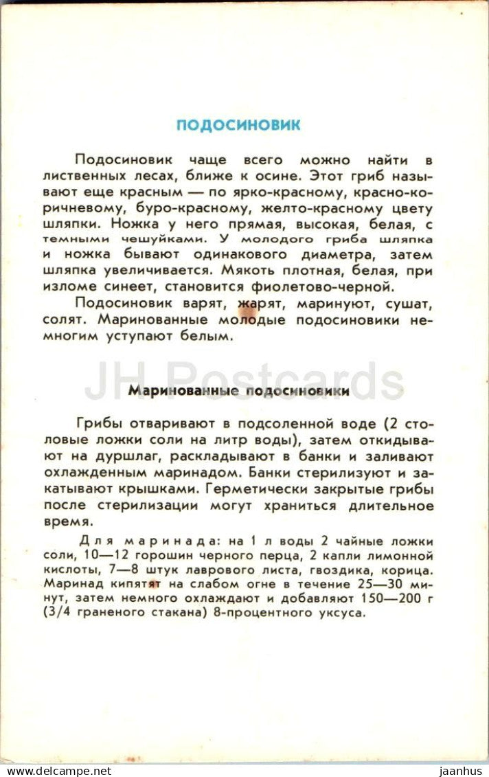 Leccinum - Champignon tremble - champignons - 1991 - Russie URSS - non utilisé