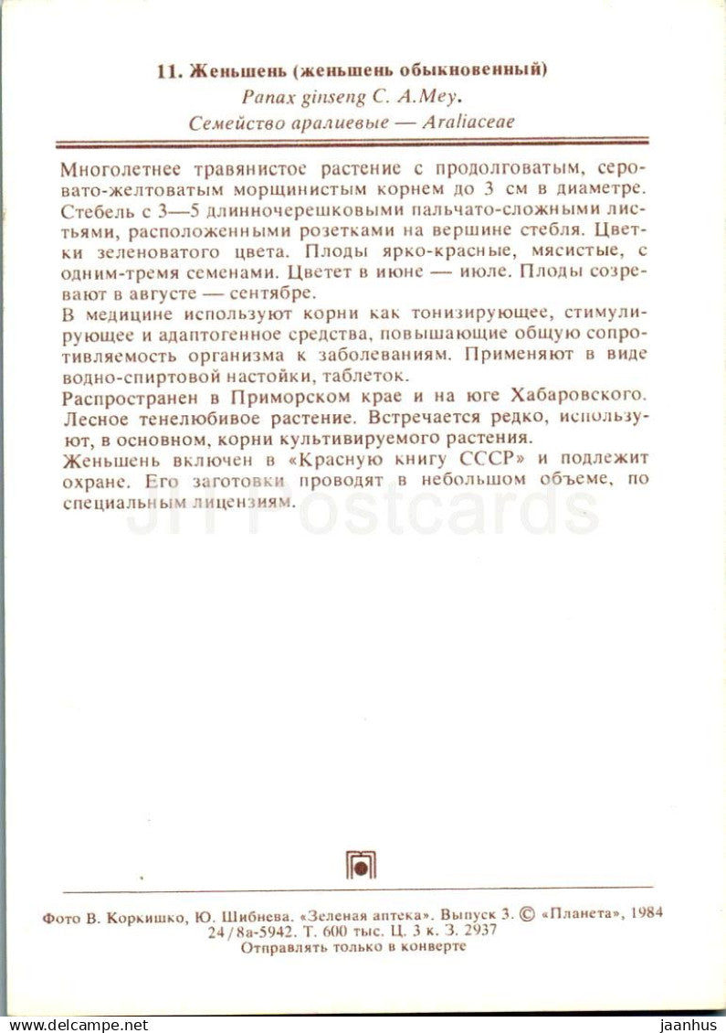 Panax - Ginseng - plantes médicinales - 1984 - Russie URSS - non utilisé