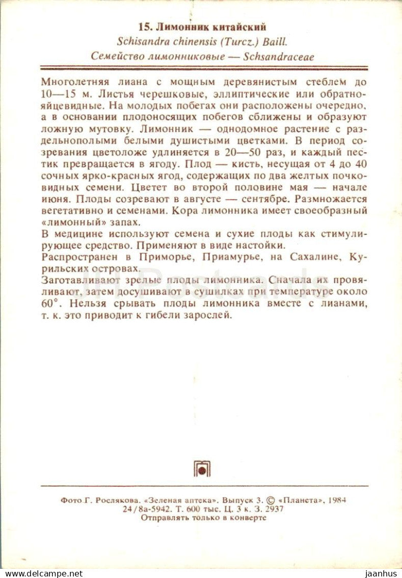 Baie de magnolia - Schisandra chinensis - plantes médicinales - 1984 - Russie URSS - non utilisé
