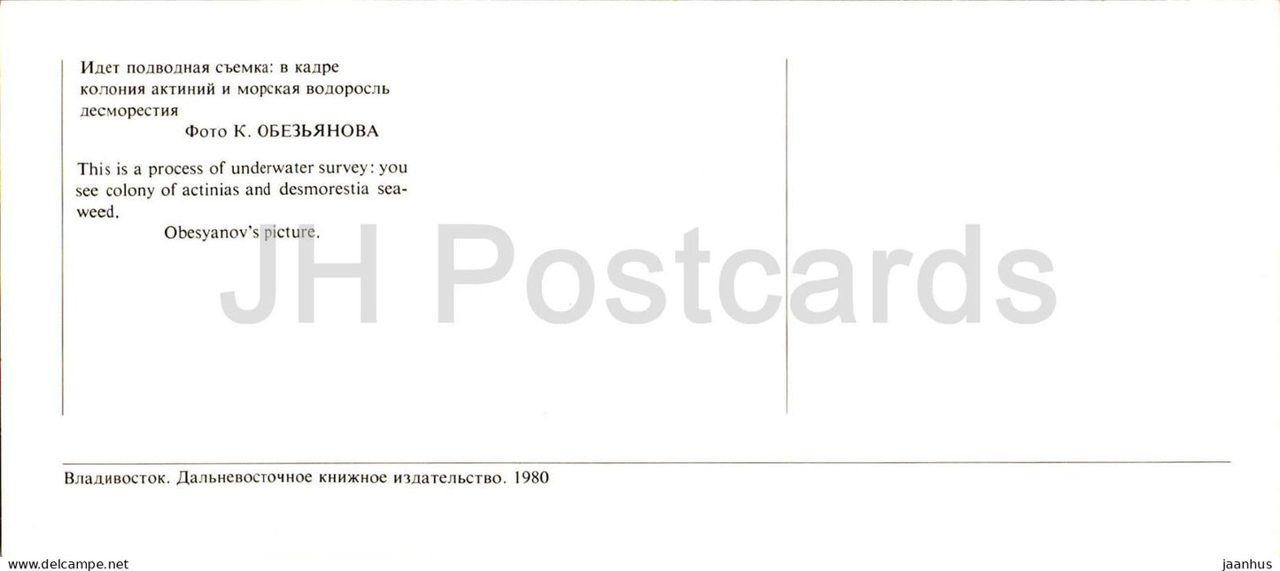 Baie de Pierre le Grand - Enquête sous-marine - colonie d'actinias - algue desmorestia - 1980 - Russie URSS - inutilisé