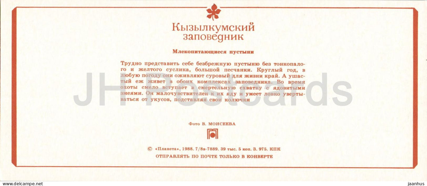 Réserve naturelle de Kyzylkum - Écureuil terrestre jaune - Hérisson à longues oreilles - 1988 - URSS Ouzbékistan - non utilisé