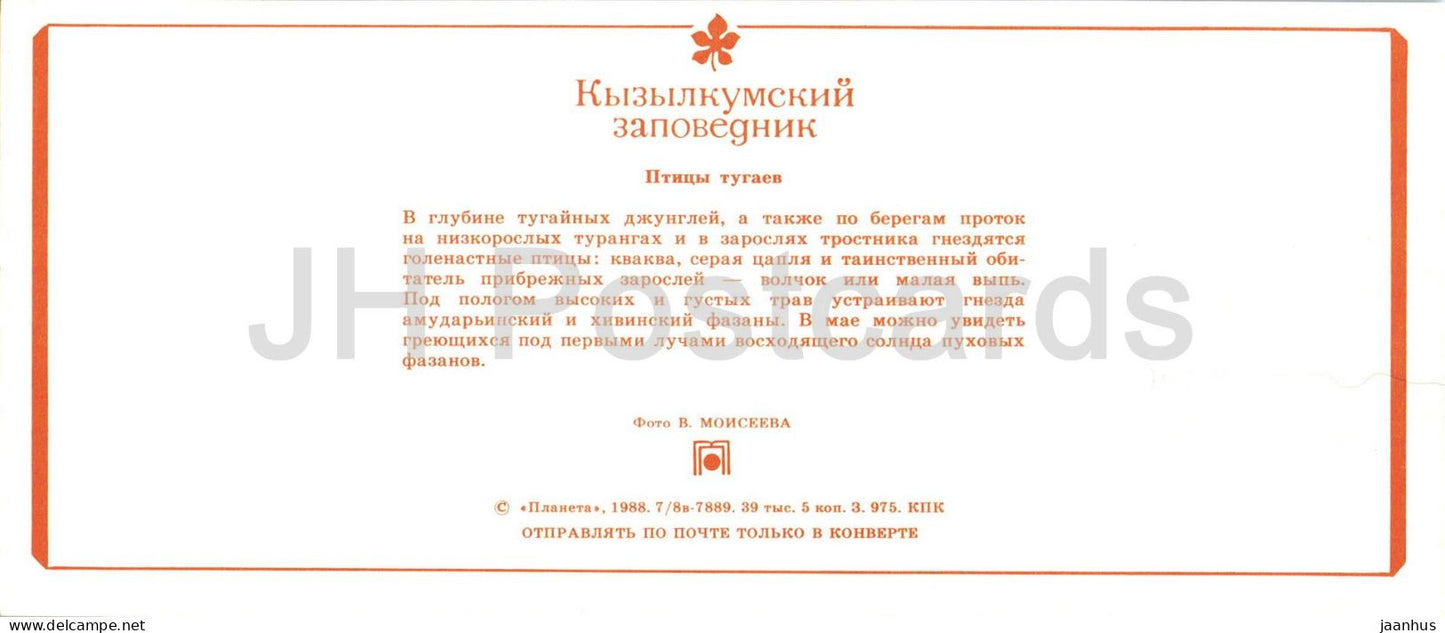 Kyzylkum Nature Reserve - Birds of Tugay - Black-crowned night heron - 1988 - USSR Uzbekistan - unused