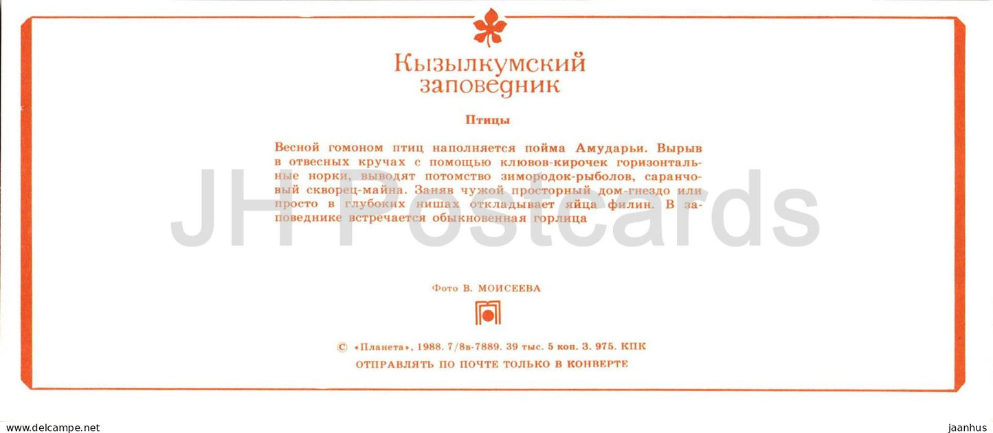 Kyzylkum Nature Reserve - Birds - Common kingfisher - Eurasian eagle-owl - dove - 1988 - USSR Uzbekistan - unused