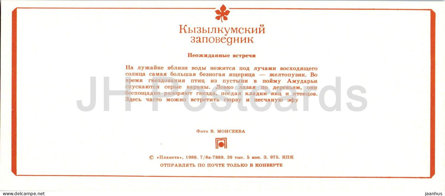 Naturschutzgebiet Kyzylkum – Reptilien – Scheltopusik – Wüstenwaran – Stumpfnasenotter – 1988 – UdSSR Usbekistan – ungenutzt