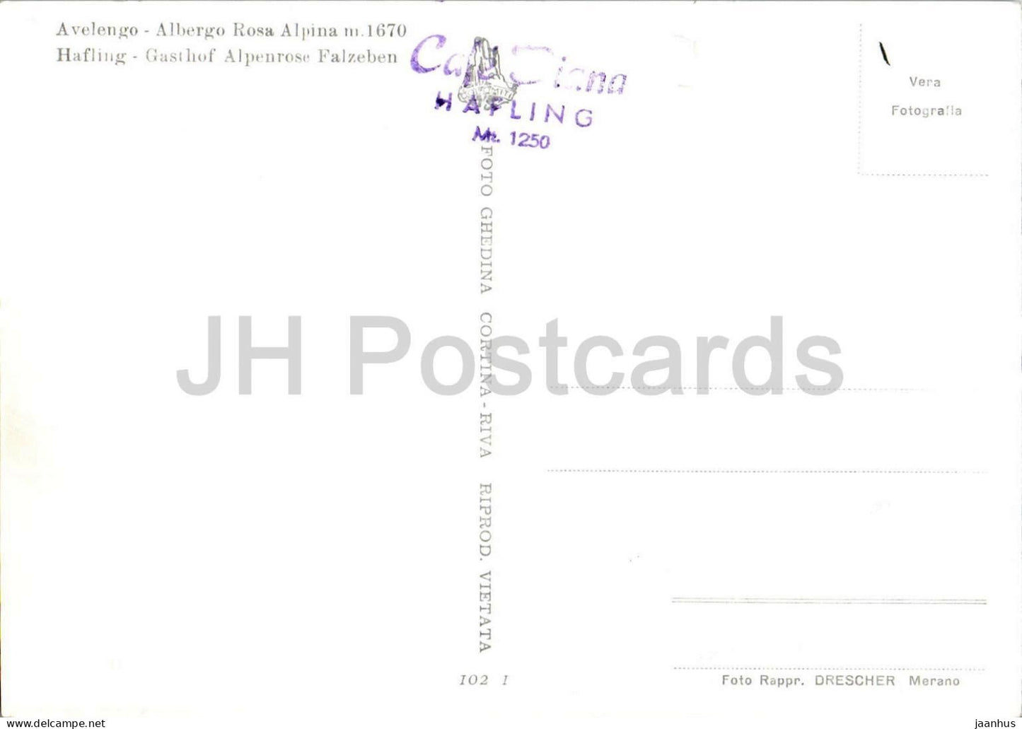 Avelengo - Albergo Rosa Alpina m. 1670 - Hafling - Gasthof Alpenrose Falzeben - horse -- old postcard - Italy - unused