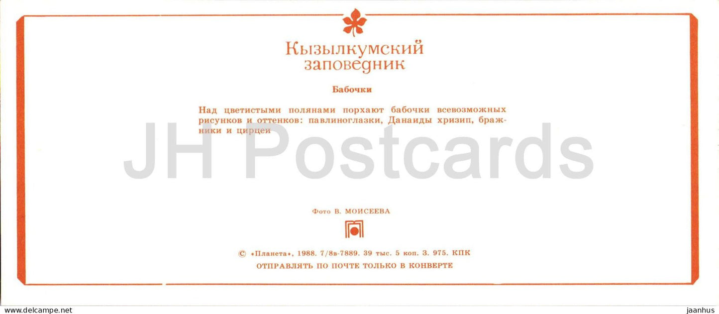 Kyzylkum Nature Reserve - Butterfly - Saturniidae - Plain Tiger - Sphingidae - Brintesia 1988 - USSR Uzbekistan - unused