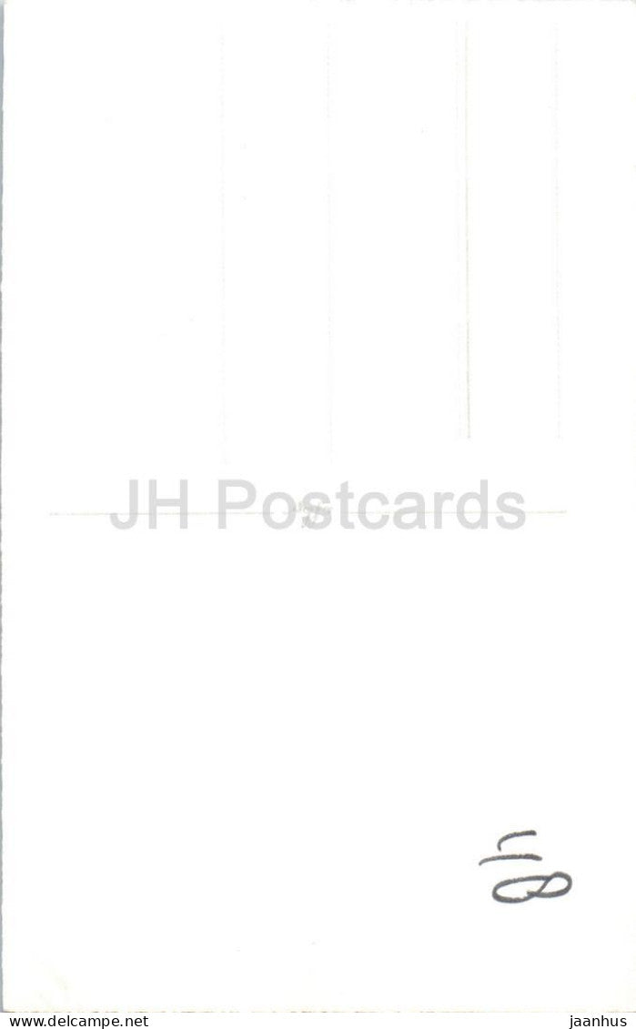 Hochzeitsszene - Pferdekutsche - Braut und Bräutigam - echte Fotopostkarte - 1950er Jahre - Niederlande - unbenutzt