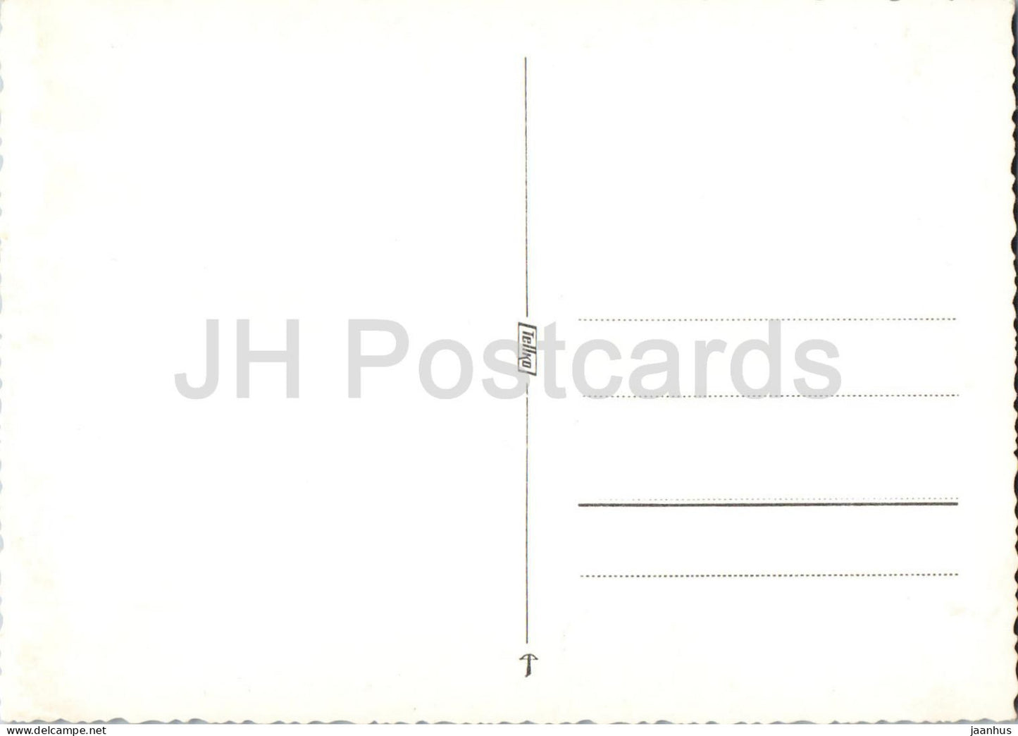 Alm im Pinzgau Maria Alm am Steinernen Meer in Salzburg - village - mountains - Alps - old postcard - Austria - unused