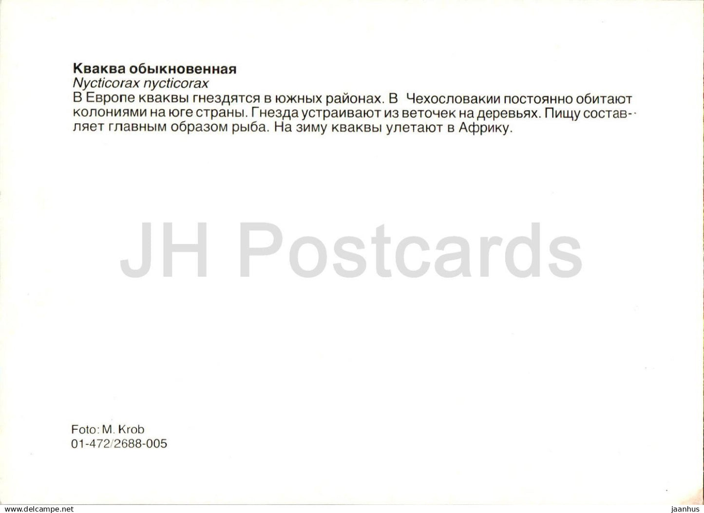 Héron de nuit à couronne noire - Nycticorax nycticorax - oiseaux - animaux - Russie URSS - inutilisé