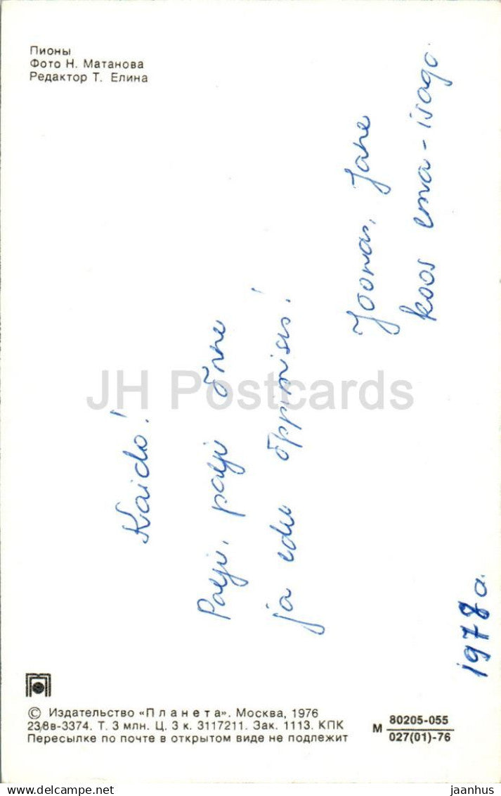 Red Peony - peonies - flowers - 1976 - Russia USSR - used