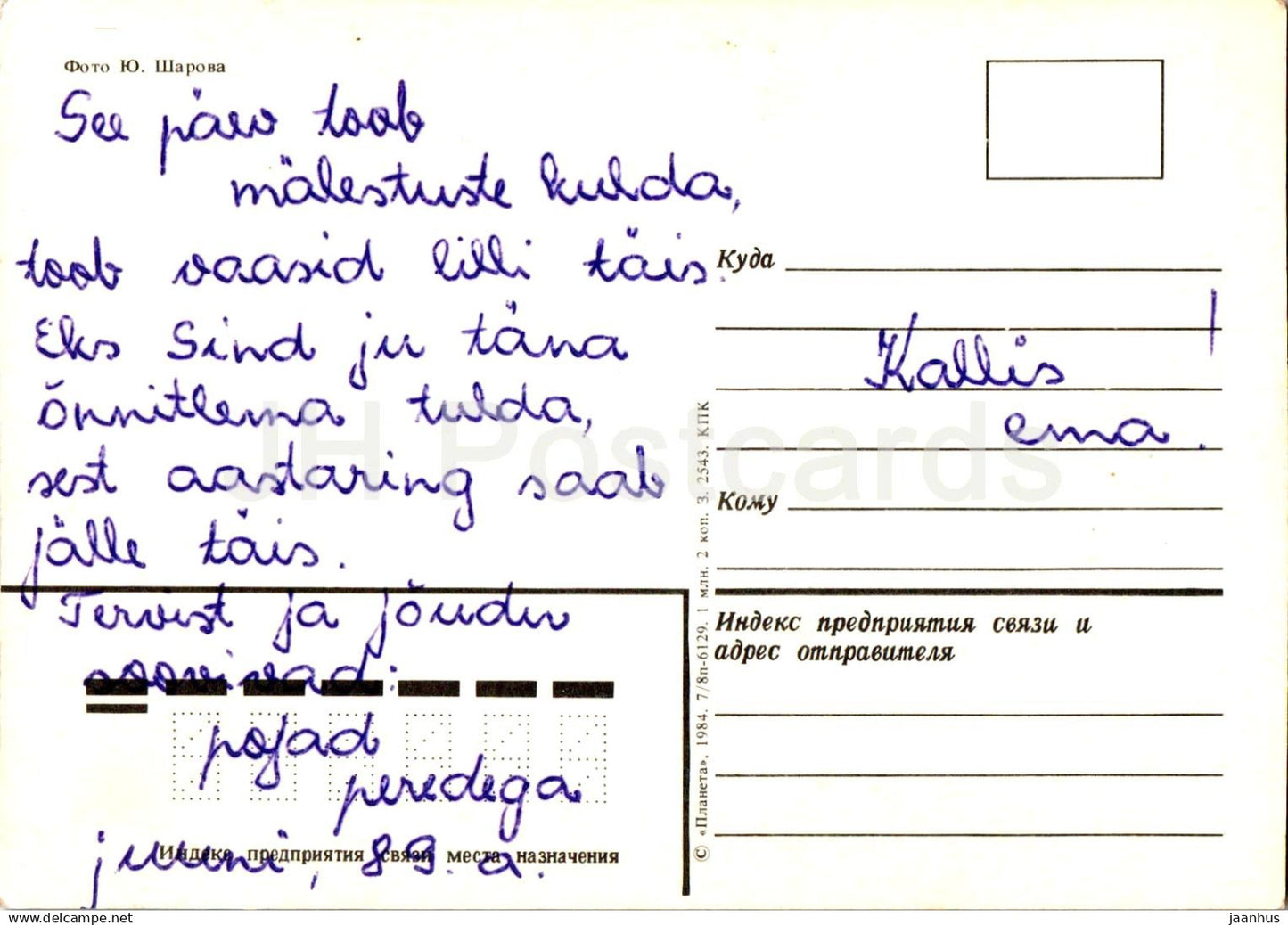 Birthday Greeting Card - Red Roses - vase - Flowers - 1984 - Russia USSR - used