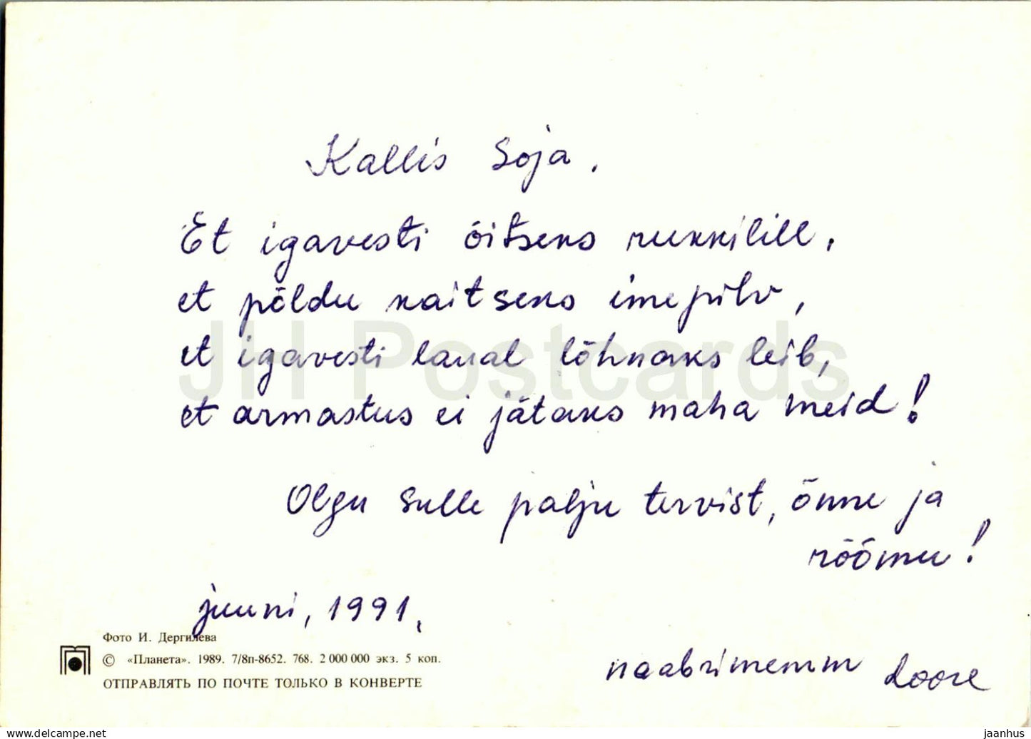 Birthday Greeting Card - White and Yellow Tulips - Lilac - flowers - 1989 - Russia USSR - used