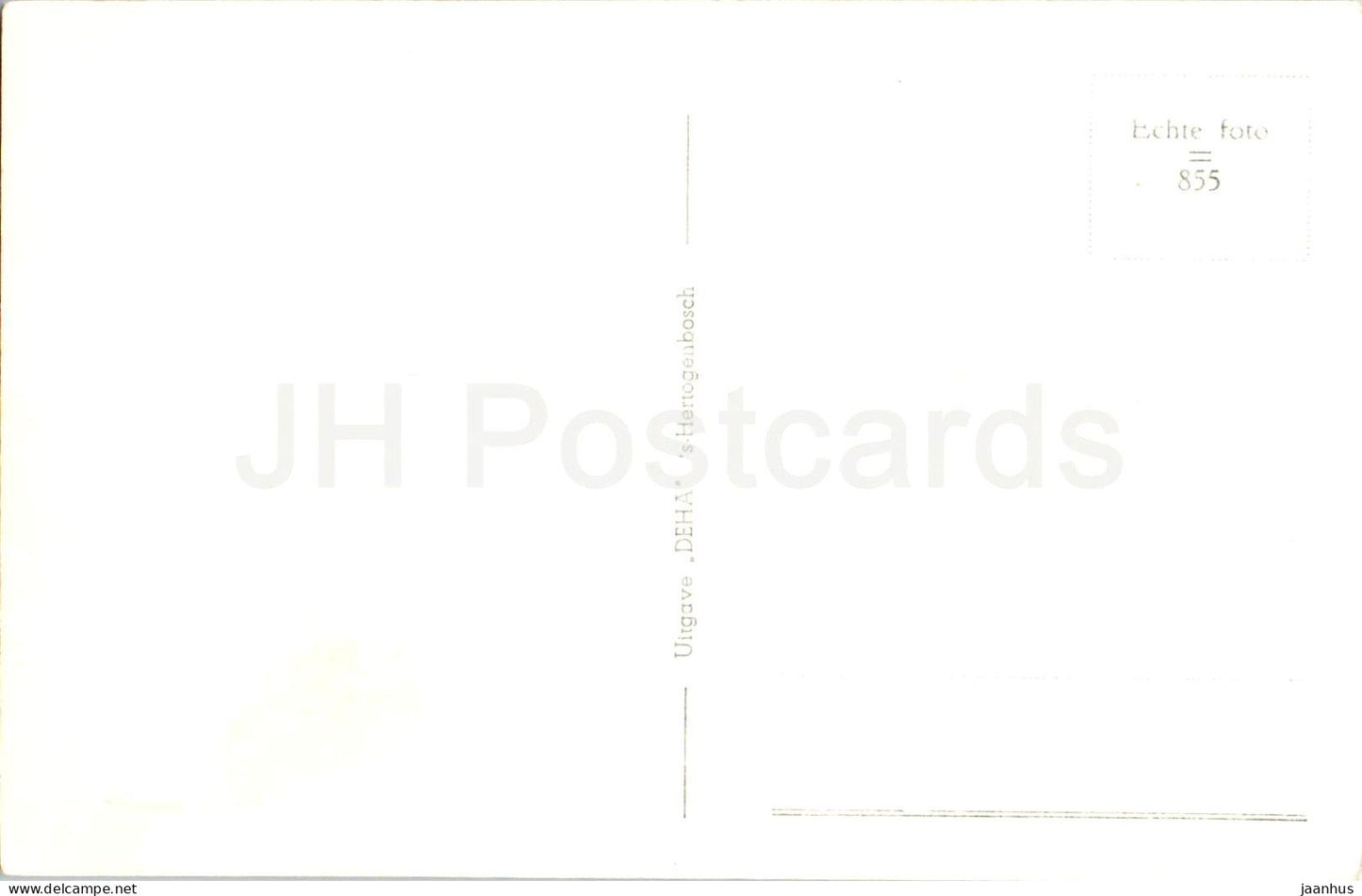 ’s-Hertogenbosch - Basiliek St. Jan - St. John’s Cathedral - 855 - old postcard - Netherlands - unused