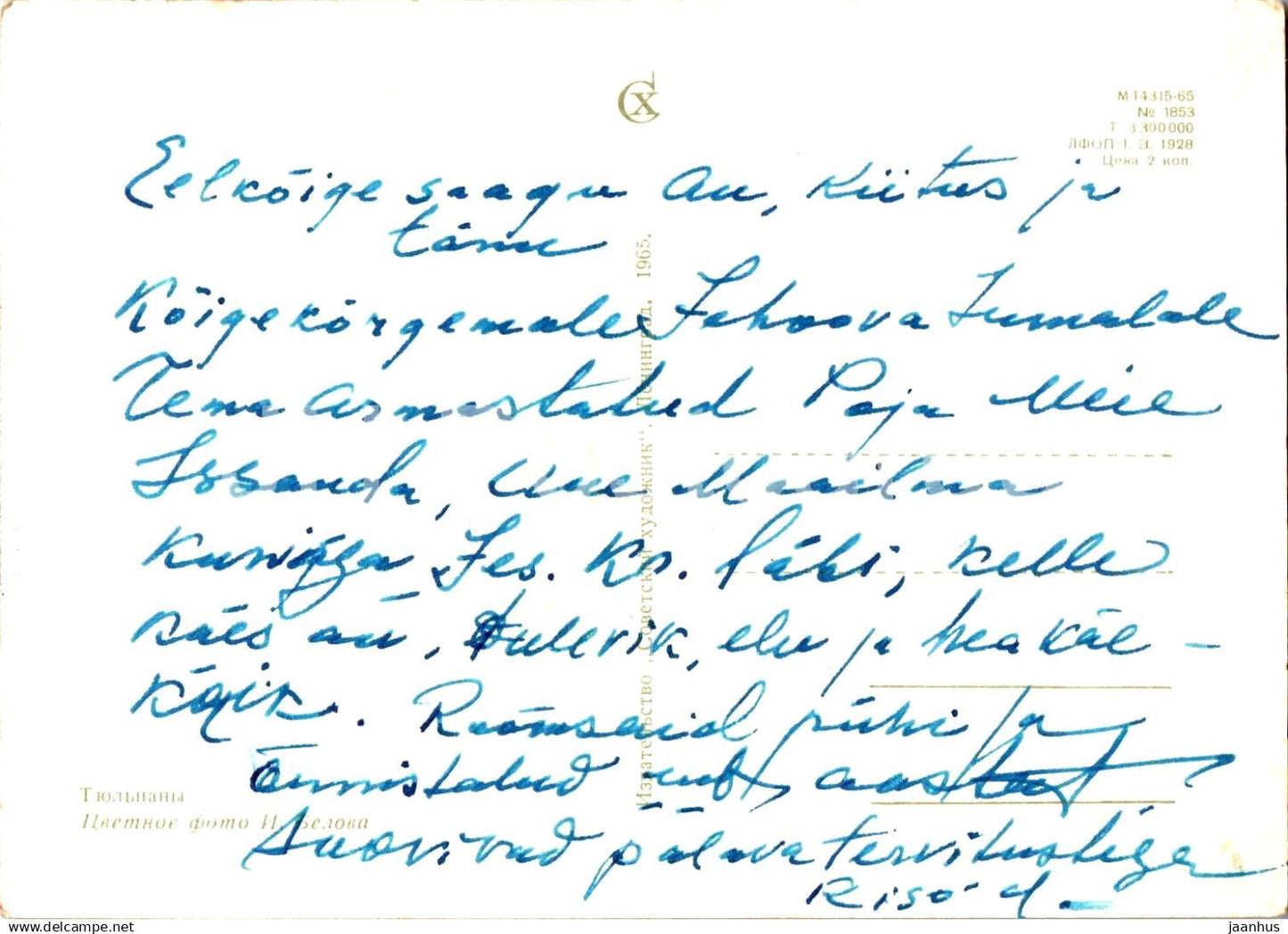 Birthday Greeting Card - Red Tulips in a Vase - flowers - 1965 - Russia USSR - used