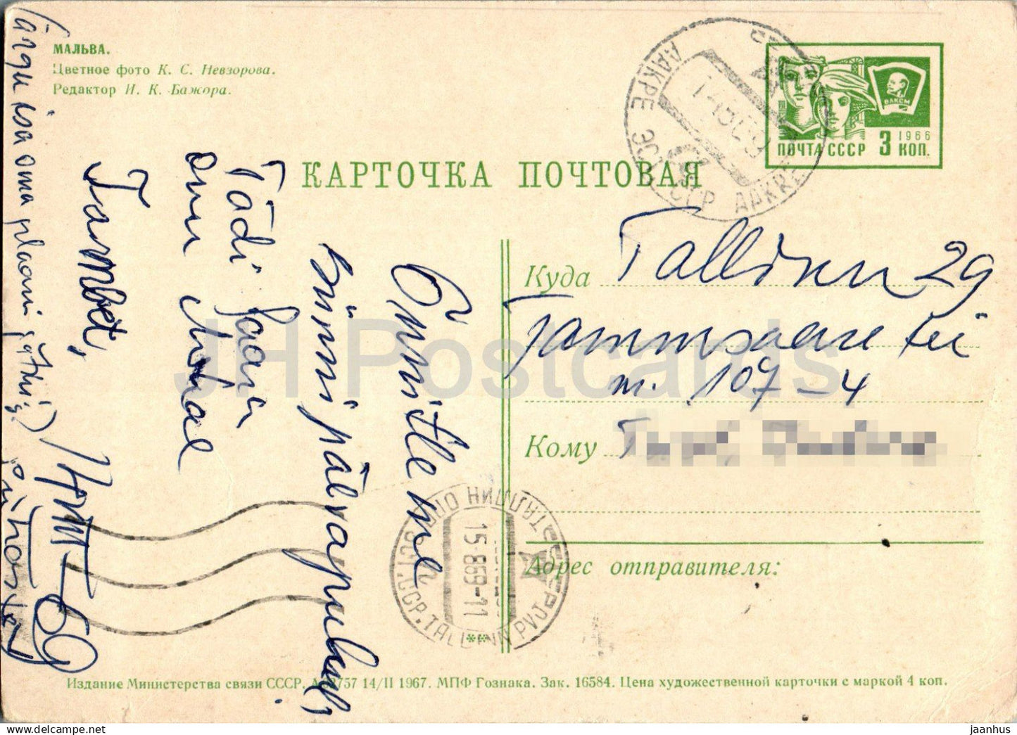 Birthday Greeting Card - Red Mallow - flowers - postal stationery - 1967 - Russia USSR - used