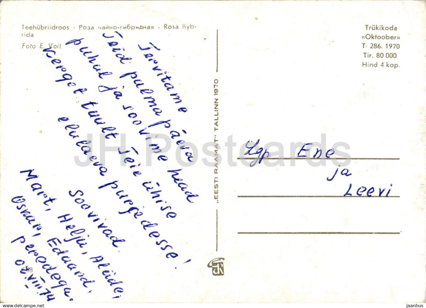 Birthday Greeting Card - Red Roses - Hybrid tea rose - Rosa hybrida - flowers - 1970 - Estonia USSR - used