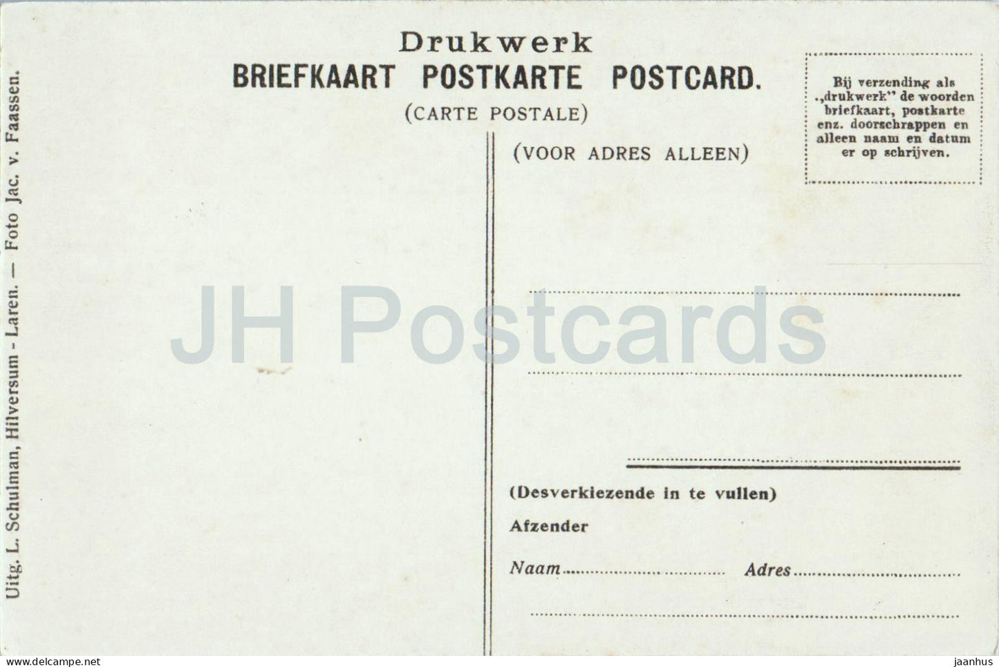 Laren N.H. - Een Mauve Boschje - A Pine Grove - forest - old postcard - Netherlands - unused