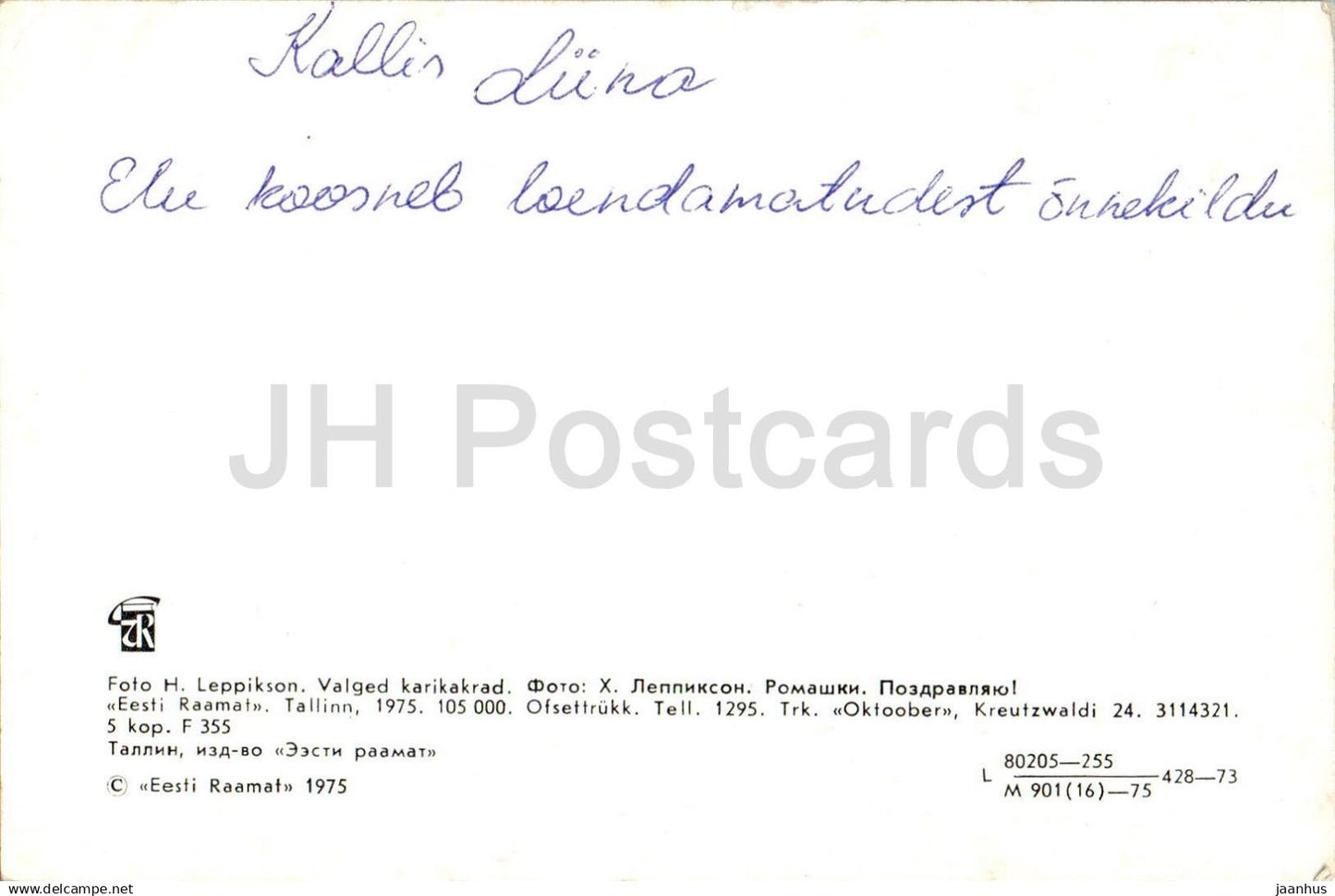 Carte de voeux d'anniversaire - Marguerite - fleurs - 1975 - Estonie URSS - utilisée