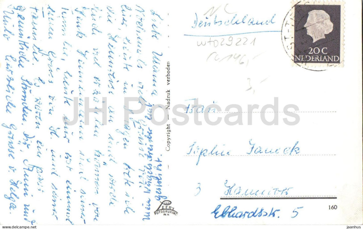 Terschelling Stilleven aan het strand - coquillages - ancienne carte postale 160 - années 1960 - Pays-Bas - usagée