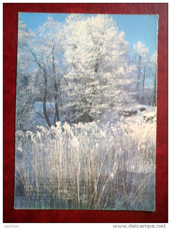 New Year Greeting card - winter view - 1984 - Estonia USSR - used - JH Postcards